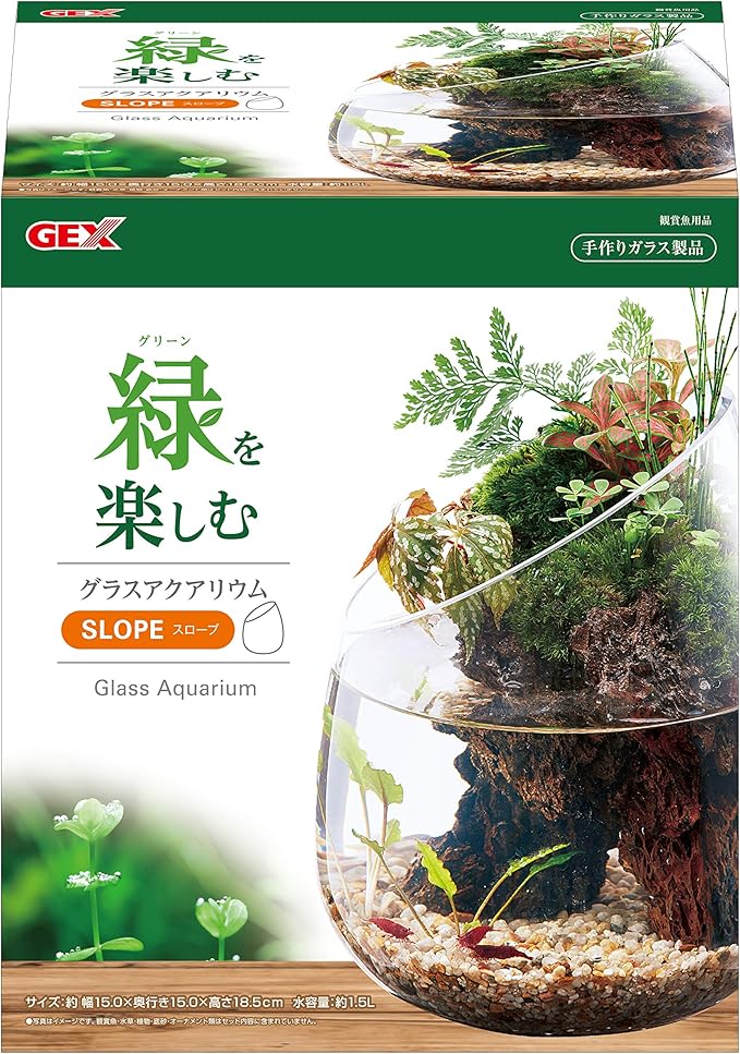 Amazon Gex Aquarium グラスアクア スロープ 水草 多肉植物 コケリウム テラリウム ガラス製 約1 5l Gex Aquarium 飼育セット 通販