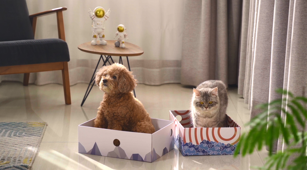 Pumtus 2-Pack Cardboard Cat Houses With Scratching Pads – Hideaway Cave For Cats & Kittens