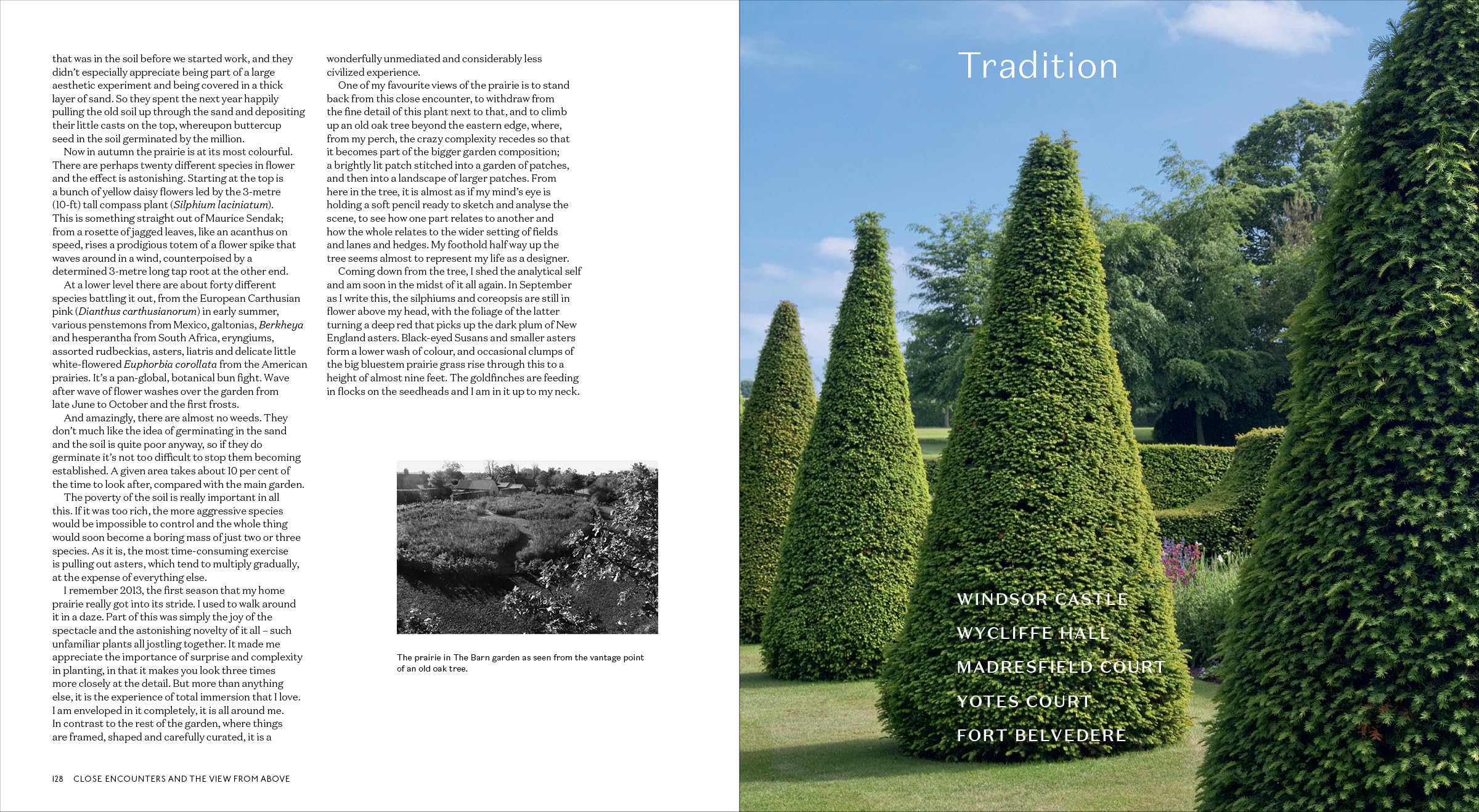 Tom Stuart-Smith: Drawn From the Land (compact edition) /anglais