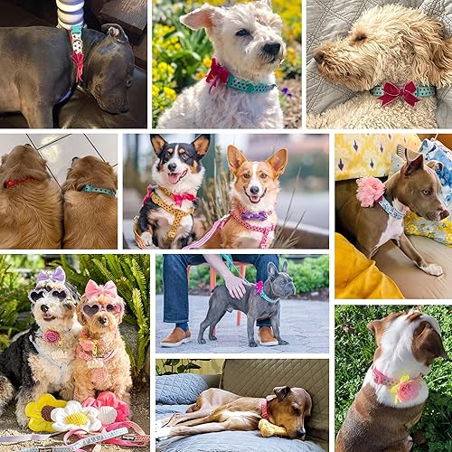 Miniatura 6 de Blueberry Pet 20 patrones más codiciados collares de perro de diseño, correa o arnés a juego, rosado bebé