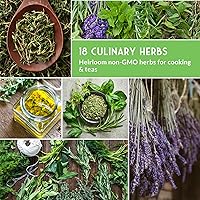 Vista 5 de Paquete variado de semillas de hierbas, 18 hierbas culinarias para plantar, albahaca sin OMG, cilantro, perejil, eneldo, cebollino, orégano, salvia