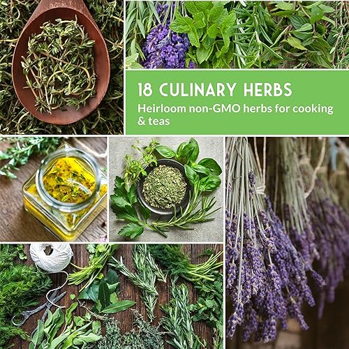 Miniatura 5 de Paquete variado de semillas de hierbas, 18 hierbas culinarias para plantar, albahaca sin OMG, cilantro, perejil, eneldo, cebollino, orégano, salvia