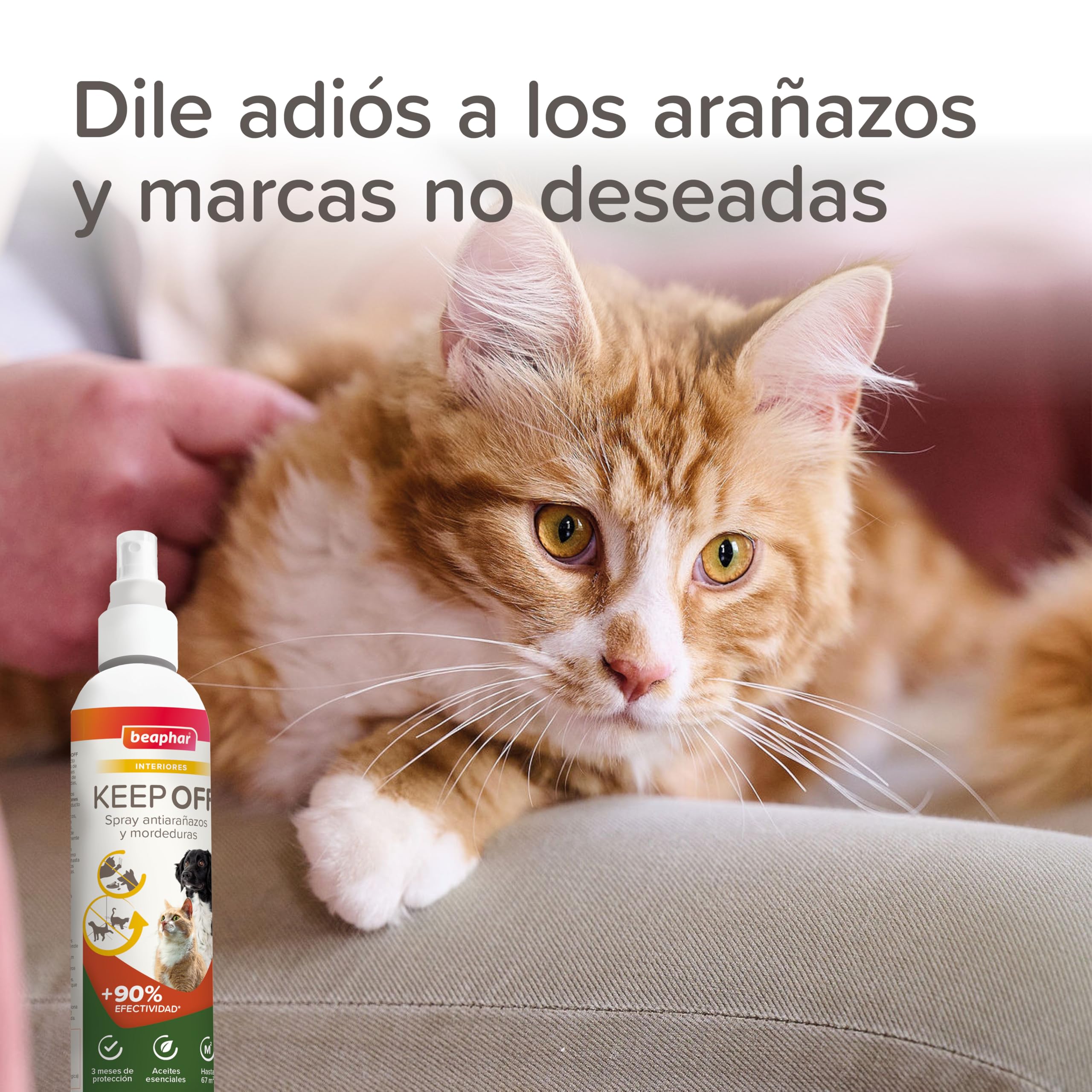 Beaphar Keep off - Spray Educatore Gatti e Cani - AntiGraffio - Antimuffa - Frena Le Cattive abitudini - Proteggi divani e mobili - Efficacia Repellente Immediata - con Oli Essenziali - 200 ml
