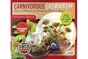 Build Your Own Venus Fly Trap Terrarium Kit