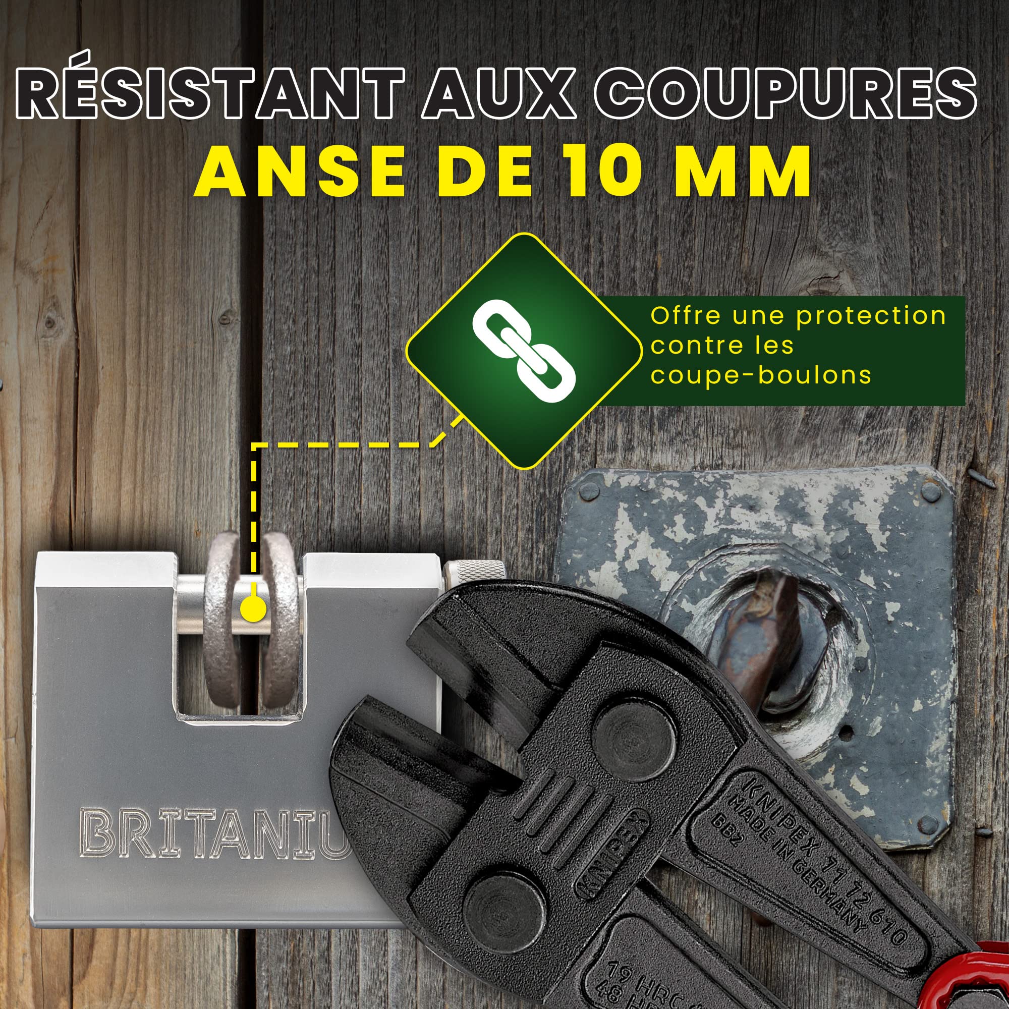 BRX66 Cadenas Container Antivol avec 5 Clés - Anse 10 mm Anti-Cisaille, Boîtier Blindé Nickelé | Serrure de Sécurité pour Portail, Garage, Remorque Attelée