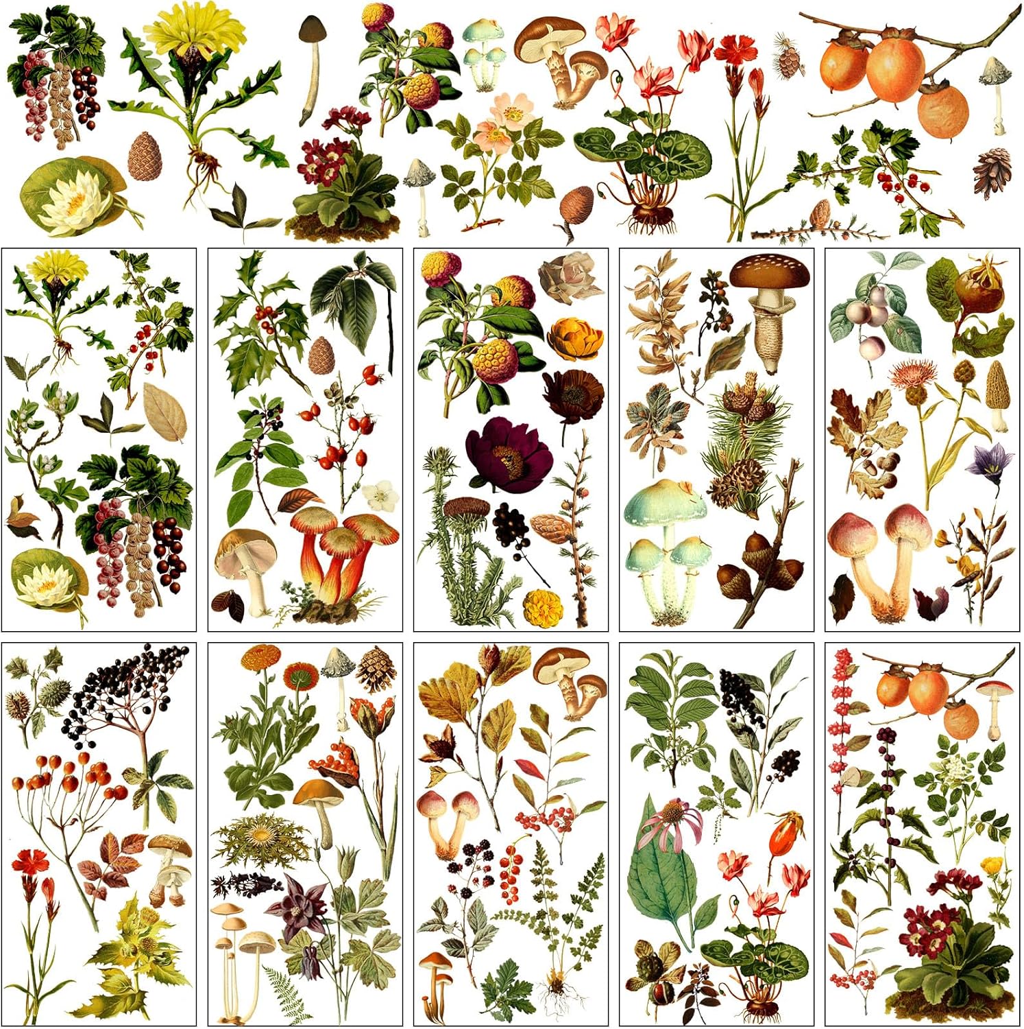 Rub On Transfers for Crafts,10Sheets Flowers Theme Rub On