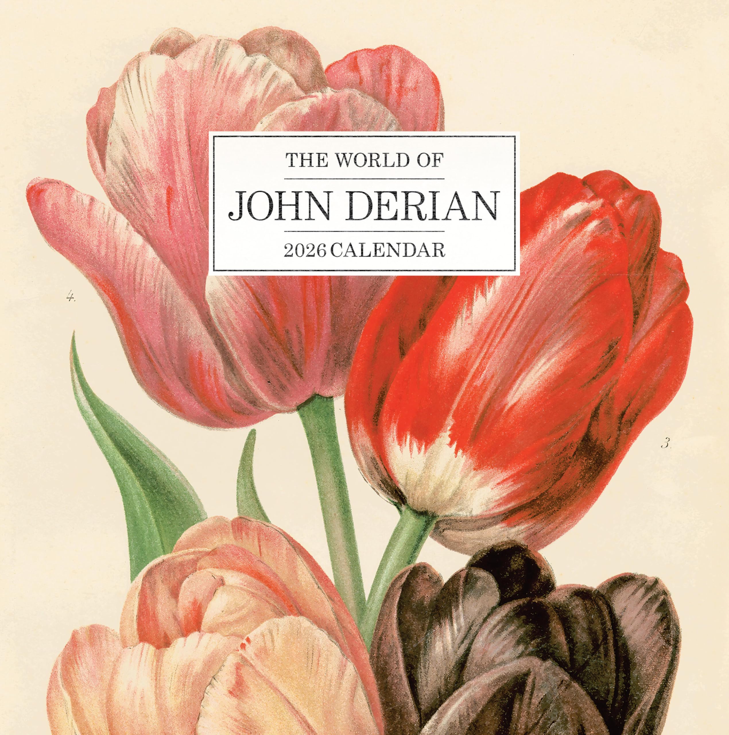 9月30日迄のお値引き JOHN DERIAN ジョンデリアン 9月30日迄のお値引き JOHN DERIAN ジョンデリアン John Derian & Astier