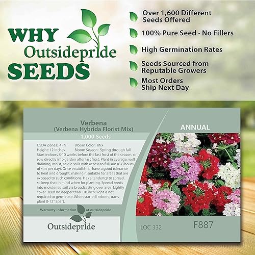 Miniatura 3 de Outsidepride 1000 semillas anuales Verbena Hybrida Florist Ground Cover Seed Mix para plantar