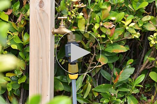 Amazon.com: RAINPOINT Water Flow Meter with Brass Inlet