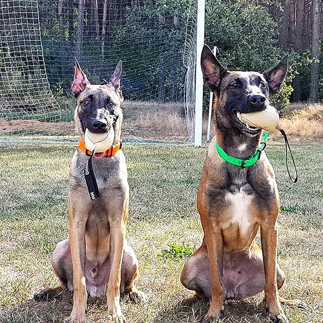 Foto 4 de 8 de Dingo Gear Pelota Suave de Cuero Genuino Ø 8 cm, con asa
