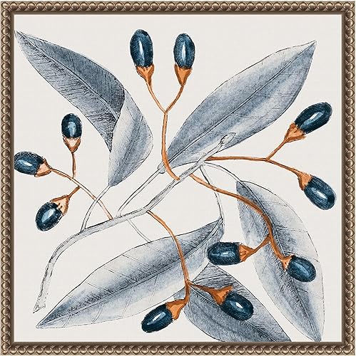Amanti Art Lienzo enmarcado para pared, 16 x 16 pulgadas, diseño vintage azul botánico I de Andrea Haase, lienzo enmarcado para decoración de pared,