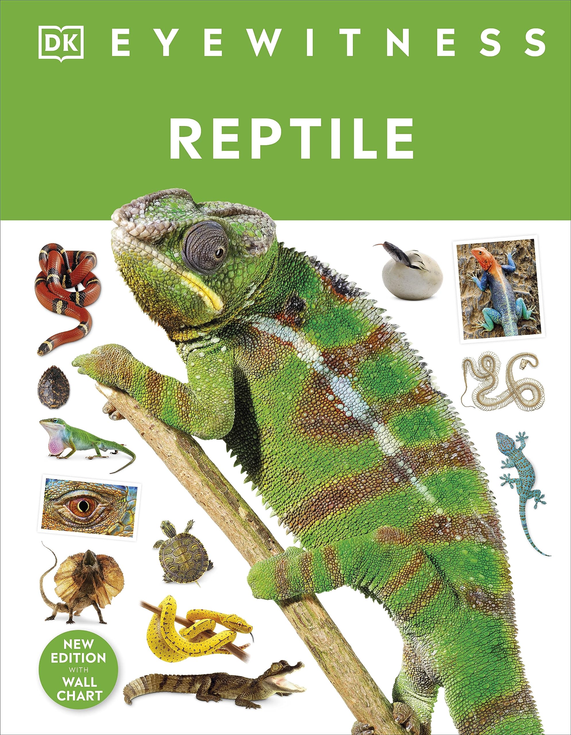 Reptile by Colin McCarthy HARDBACK 9780241631676