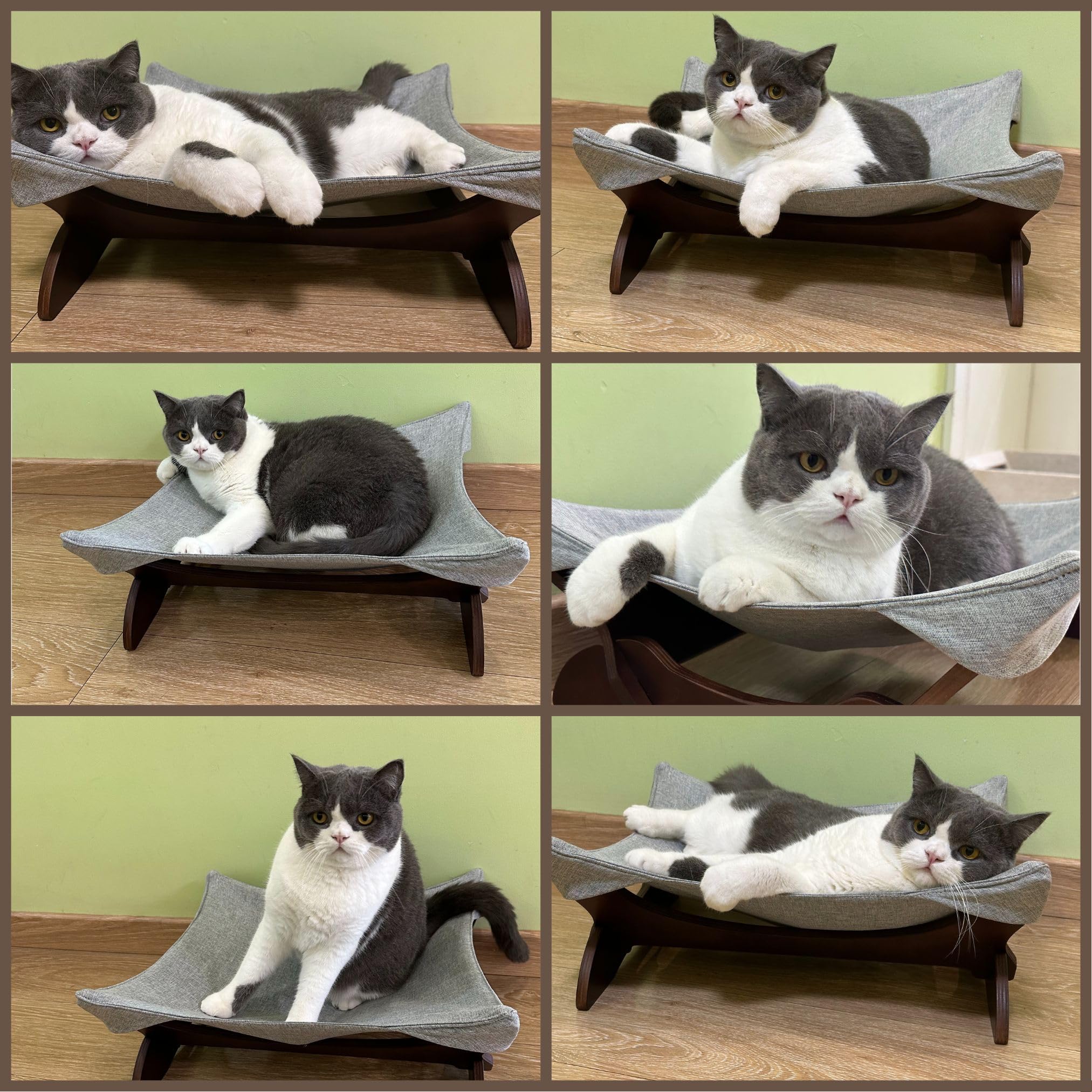 Generisch Katzenbett waschbar als Hängematte freistehend für Katzen oder Hundebett für kleine Hunde der Katzenschlafplatz für Haustiere (Hellgrau)