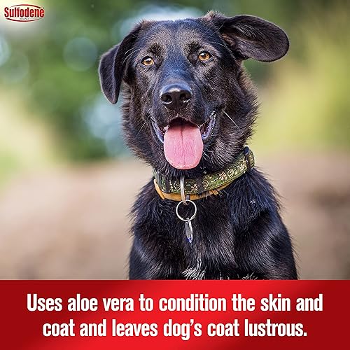 Miniatura 5 de Farnam Sulfodene Champú y acondicionador medicado para perros 12oz, blanco