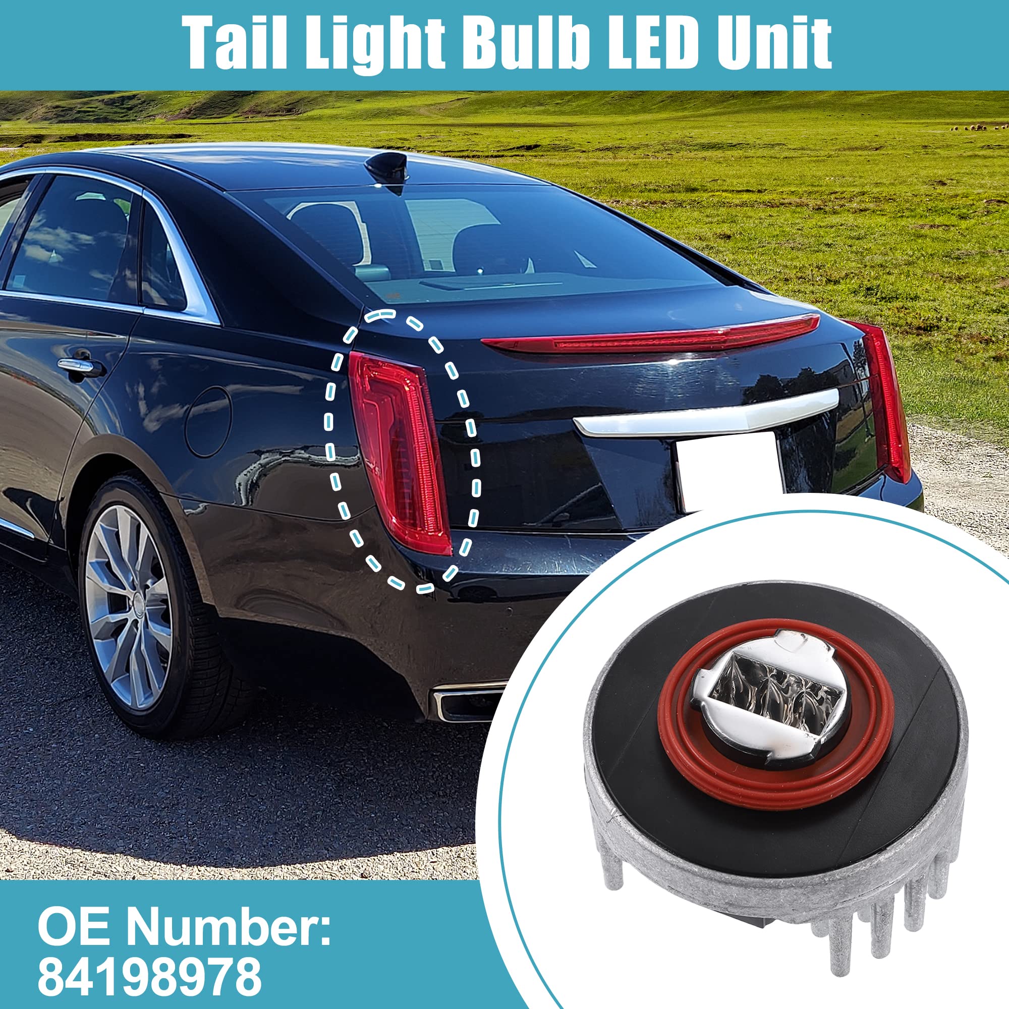 Amazon.com: X AUTOHAUX Tail Light Bulb LED Unit Auto Chassis