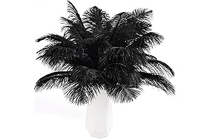 THARAHT Black Ostrich Feather Tickler for Crafts