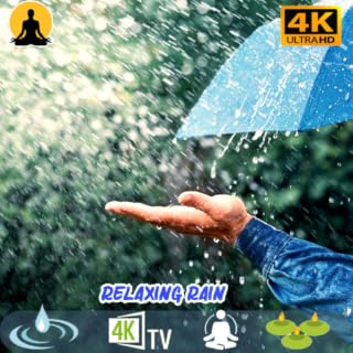 Rainy Retreat: Stress-Relieving Rain Sounds for a Restful Peaceful Night's Rest rain Sleep And Meditation Anti Stress Meditation No Ads