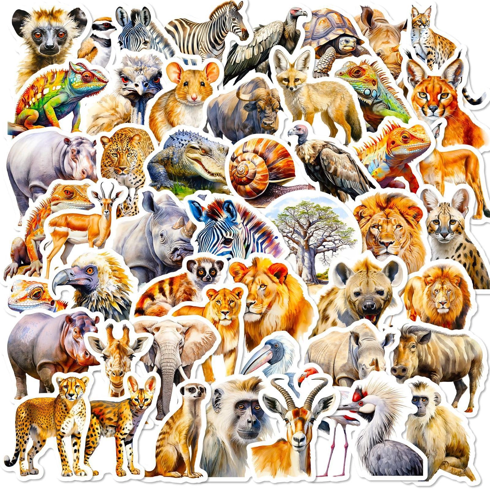 50pcs Animal Stickers African Wildlife Stickers Waterproof Jungle Wild Animal Decal Assorted Safari Zoo Stickers for Kids Water Bottle Scrapbook Party Favor Gift Supplies (African Animals)