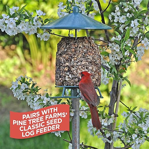 Pine Tree Farms Woodpecker Classic Wild Bird Seed Log, Gourmet Bird Food with Almonds, Peanuts, Sunflower Hearts, Black Oil Sunflower Seeds & More, 36 oz. (Pack of 3)