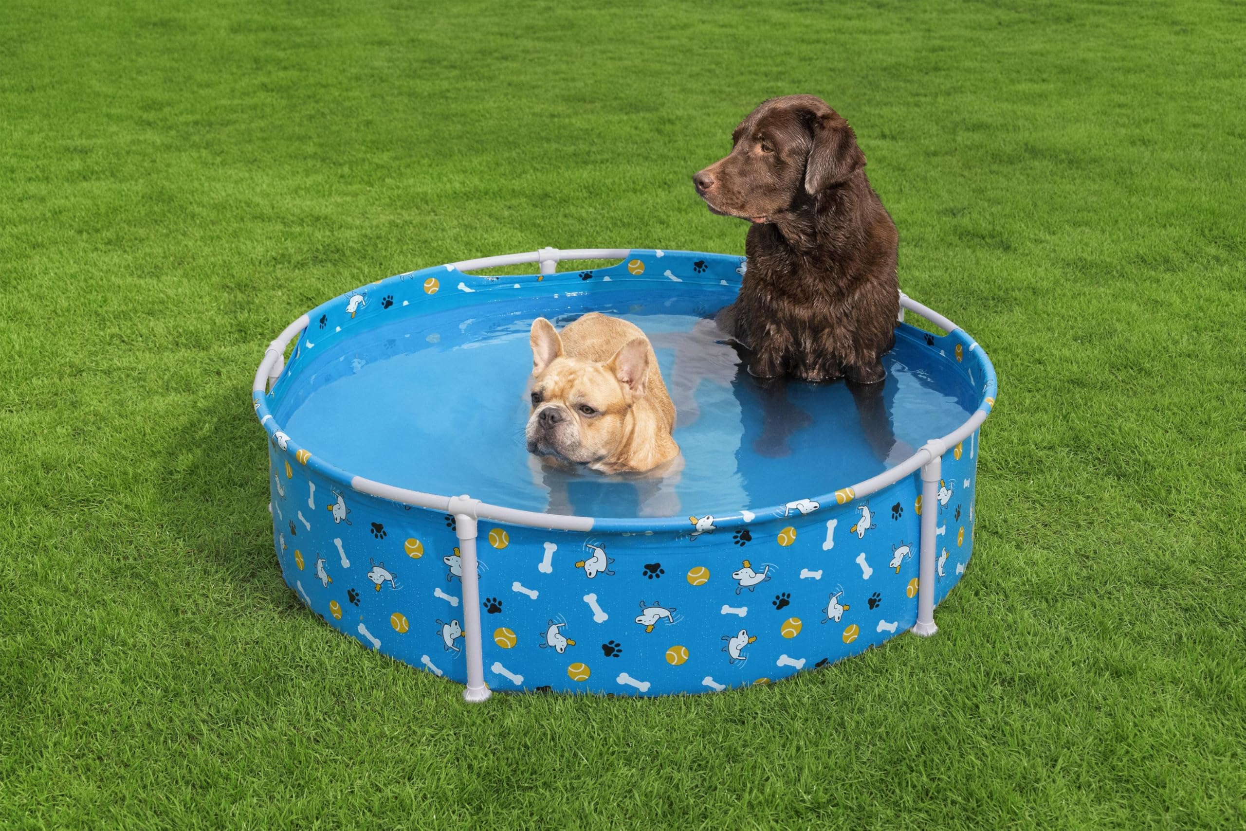 Bestway Piscine pour Animal Fetchin' Fun - 122 cm x 122 cm x 38 cm - Bleu