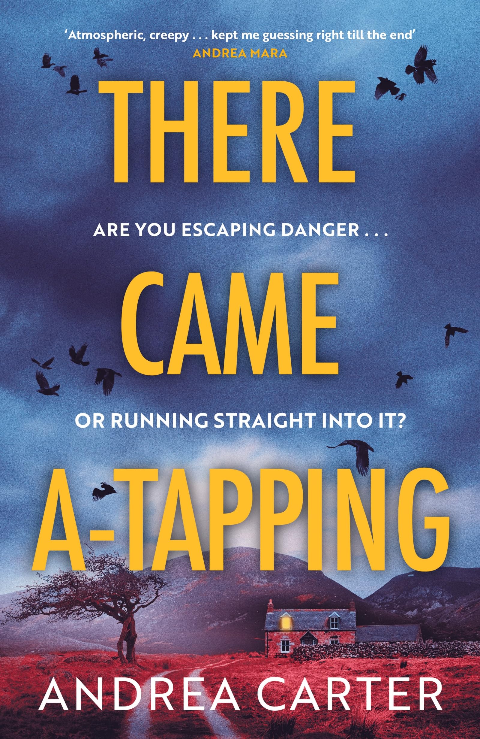 Andrea Carter - There Came A-Tapping - Fiction Book
