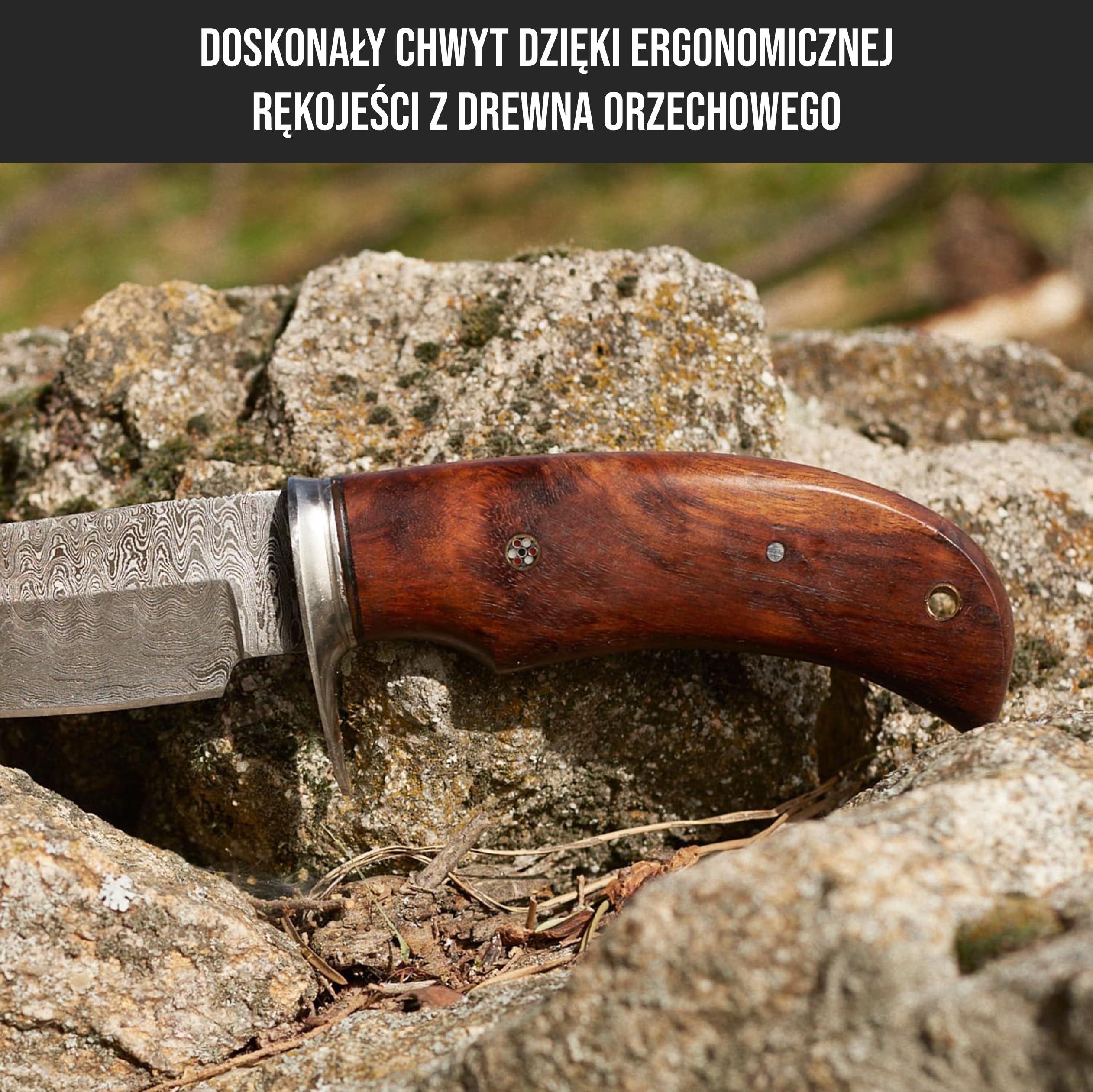 BIGCAT ROAR Ręcznie Wykonany Nóż Myśliwski z Damastu - Nóż Stały do Bushcraftu z Pokrowcem i Rączką z Orzecha - 10″ Nóż do Skórowania EDC - Myśliwy na Niedźwiedzie