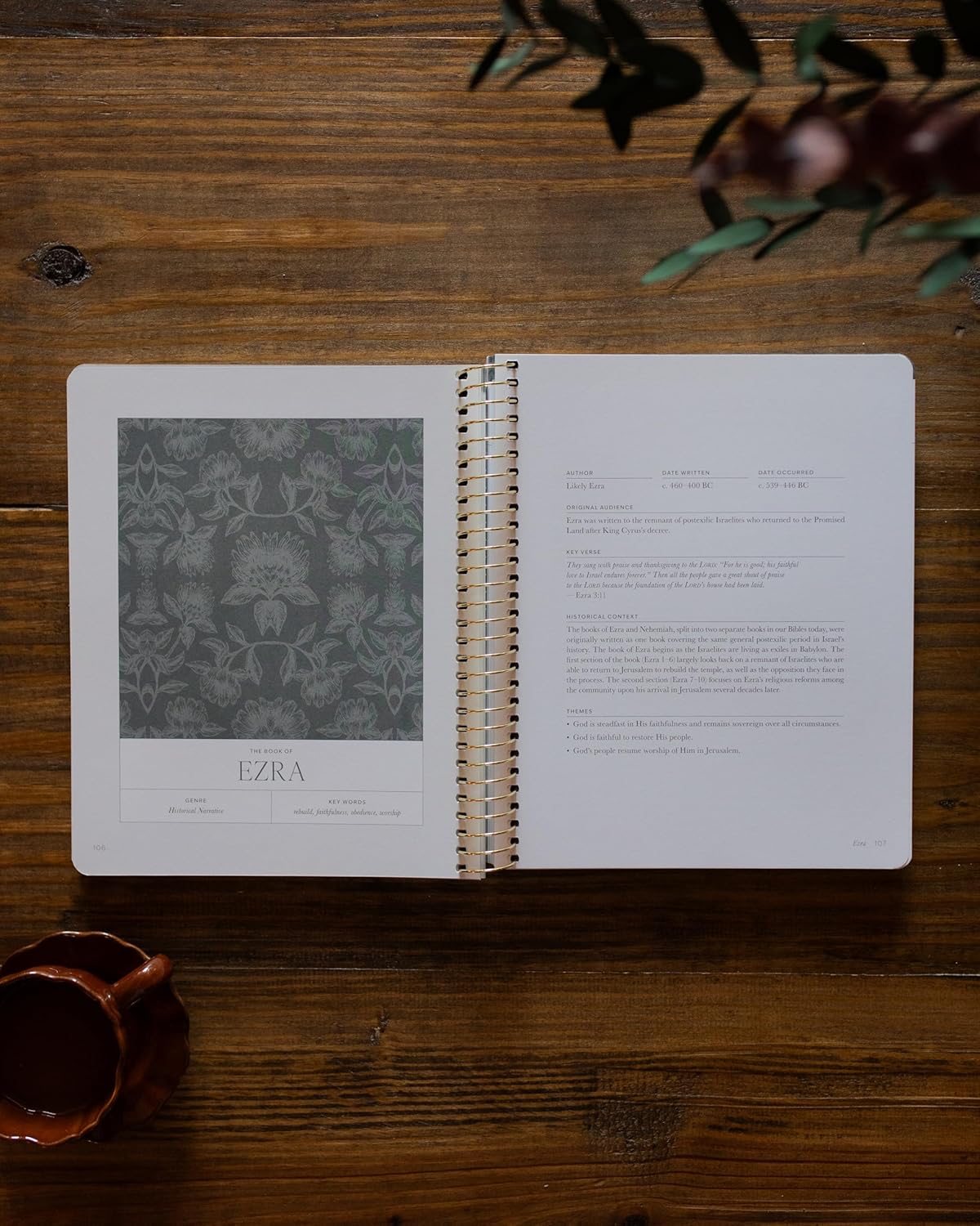 A Year in the Bible: 365 Days of Discovering the Beauty of Jesus from Genesis to Revelation - Volume 2      Spiral-bound – November 3, 2025