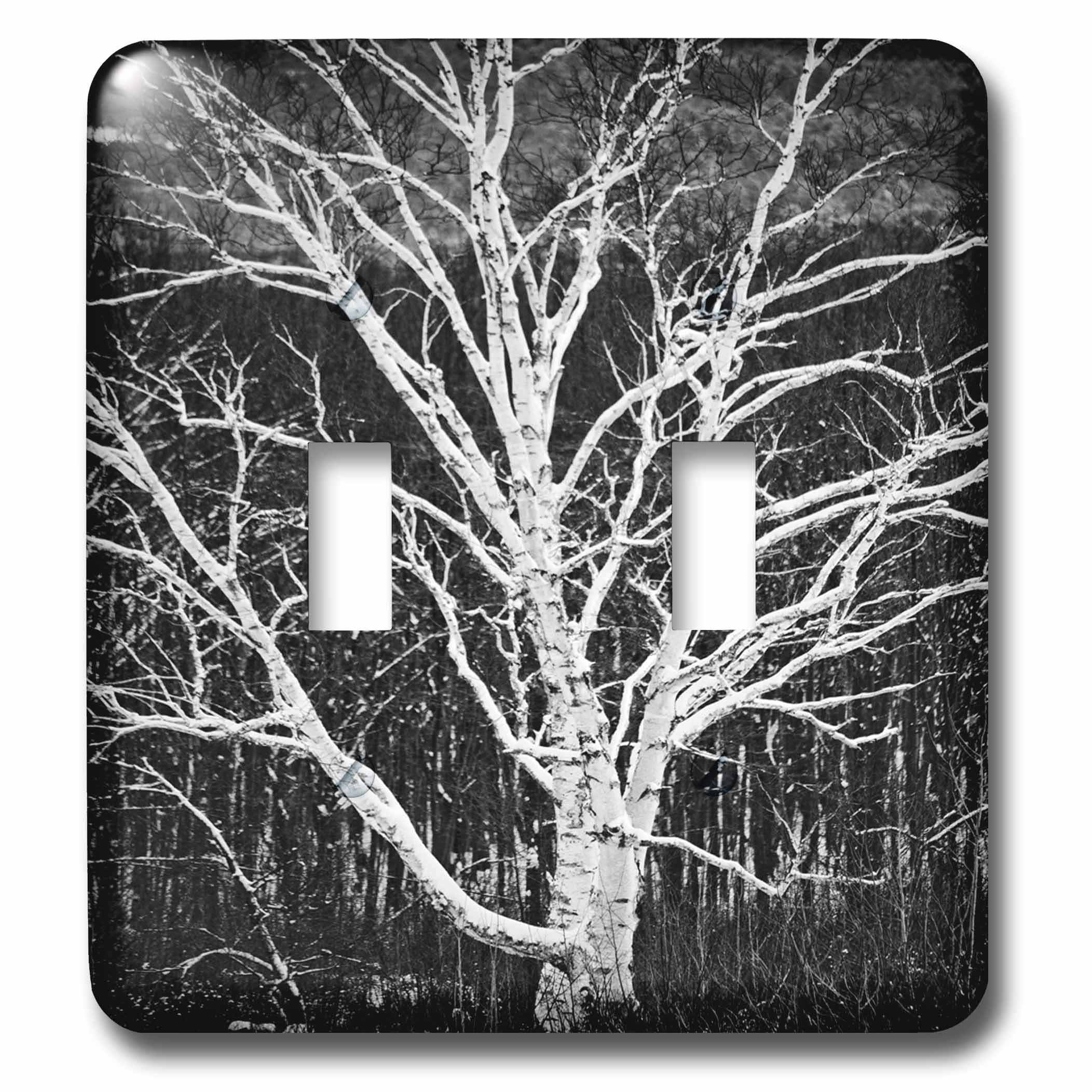 Cubierta para interruptor de luz en salones y dormitorios modernos