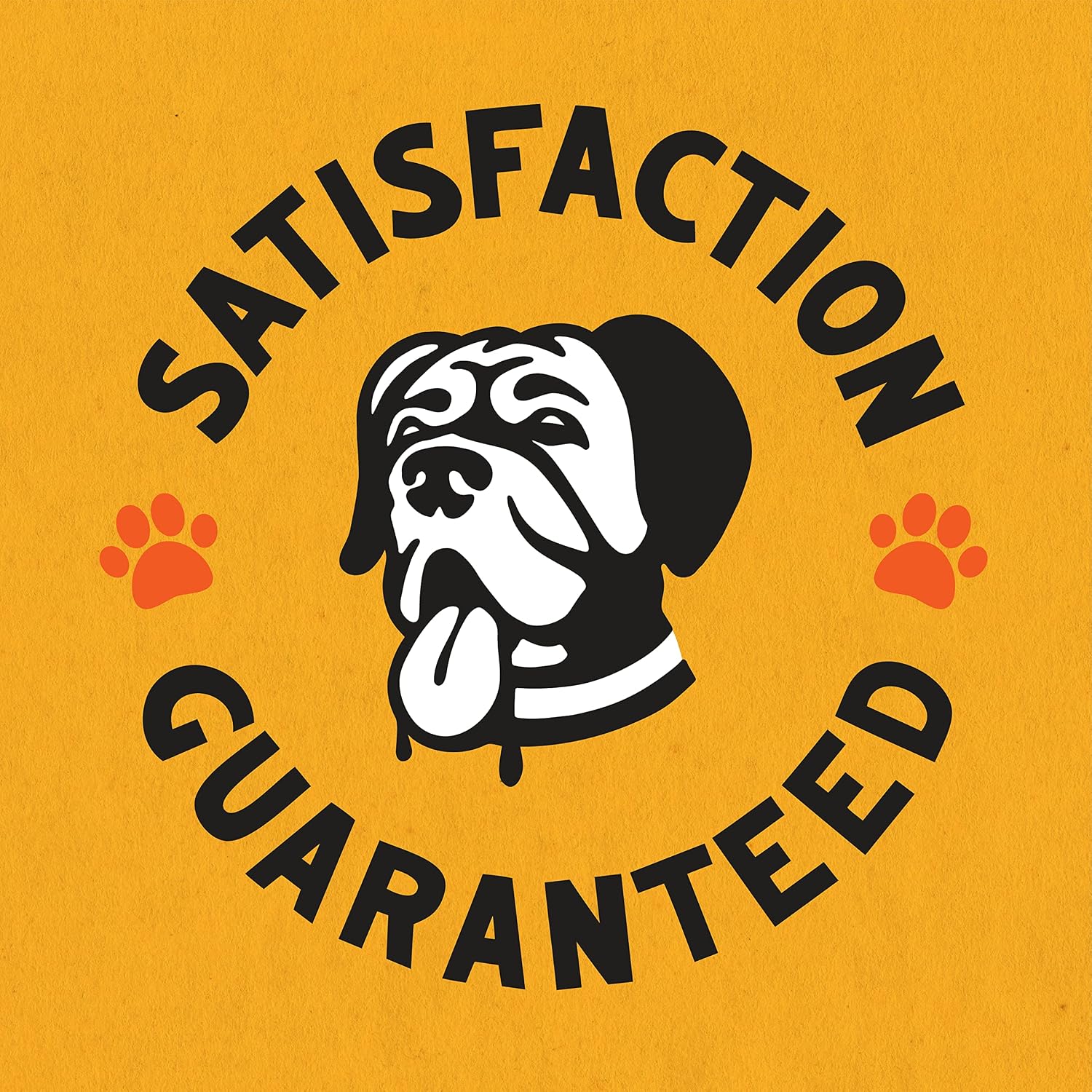 Bubbas Concentrate Pet Odor Eliminator Carpet Cleaner Solution - Stain and Odor Remover - Carpet Shampoo for Cat Urine and Dog Pee - Freshener and Deodorizer for Home - Puppy Potty Training Essentials