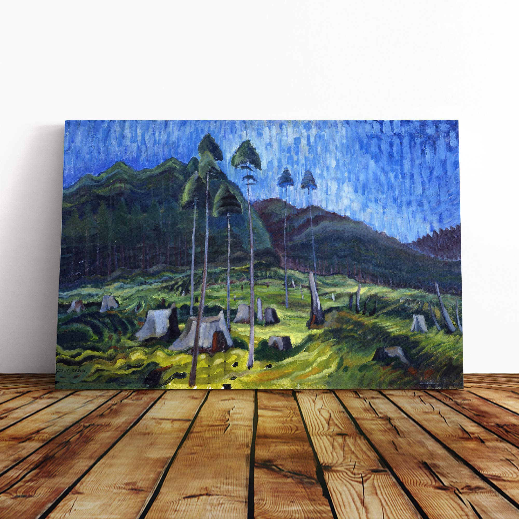 Emily Carr Odds and Ends Canvas Print | Gallery Wrapped 30mm Frame Wall Art | 30x20 inches | Ready to Hang | Modern Picture | Living Room Bedroom Lounge Office