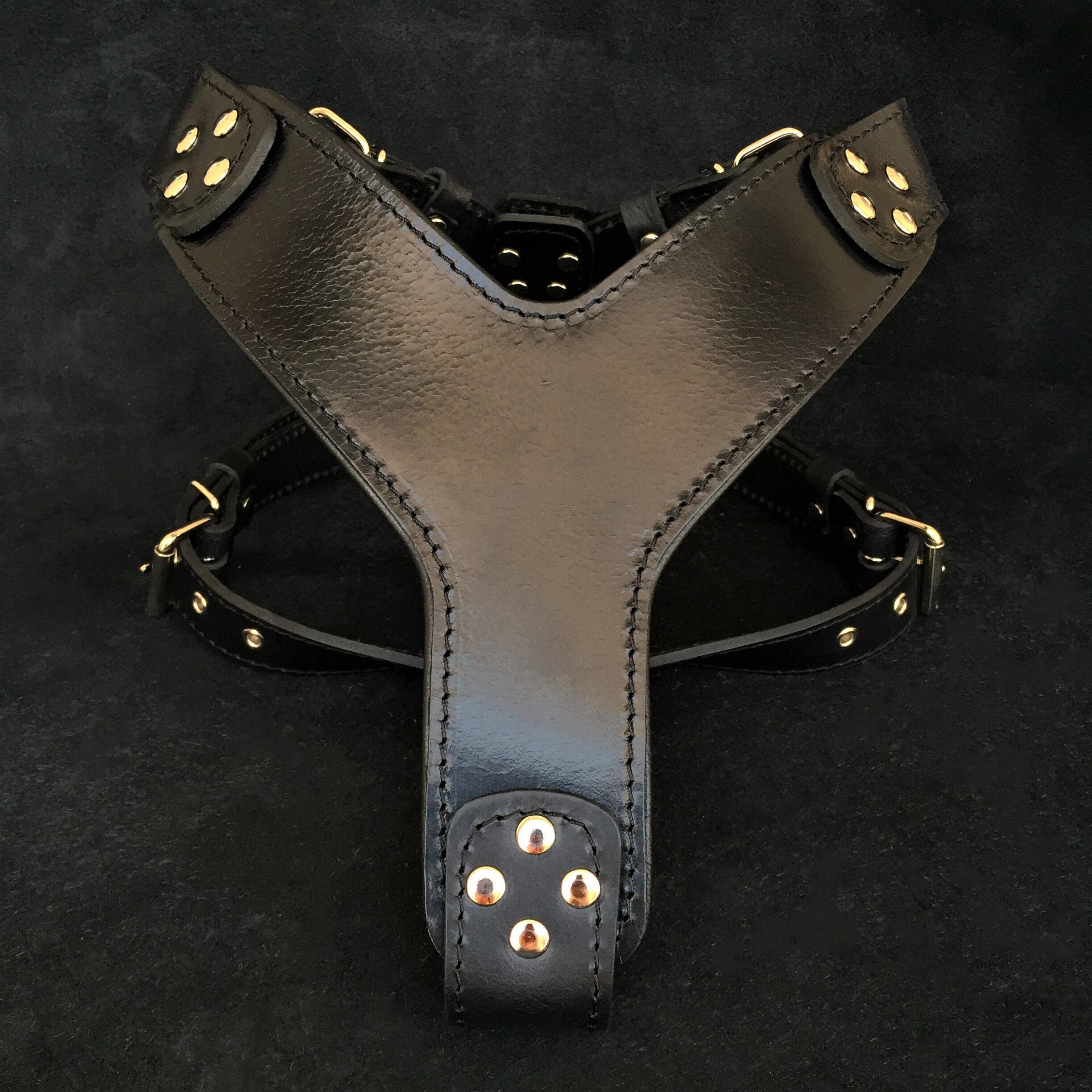 Bestia Style - Arnés de piel auténtica para perros de razas medianas a extragrandes, arnés de chaleco antitirones, placa de pecho acolchada, hecho a mano en Europa, se adapta a Rottweiler, Doberman