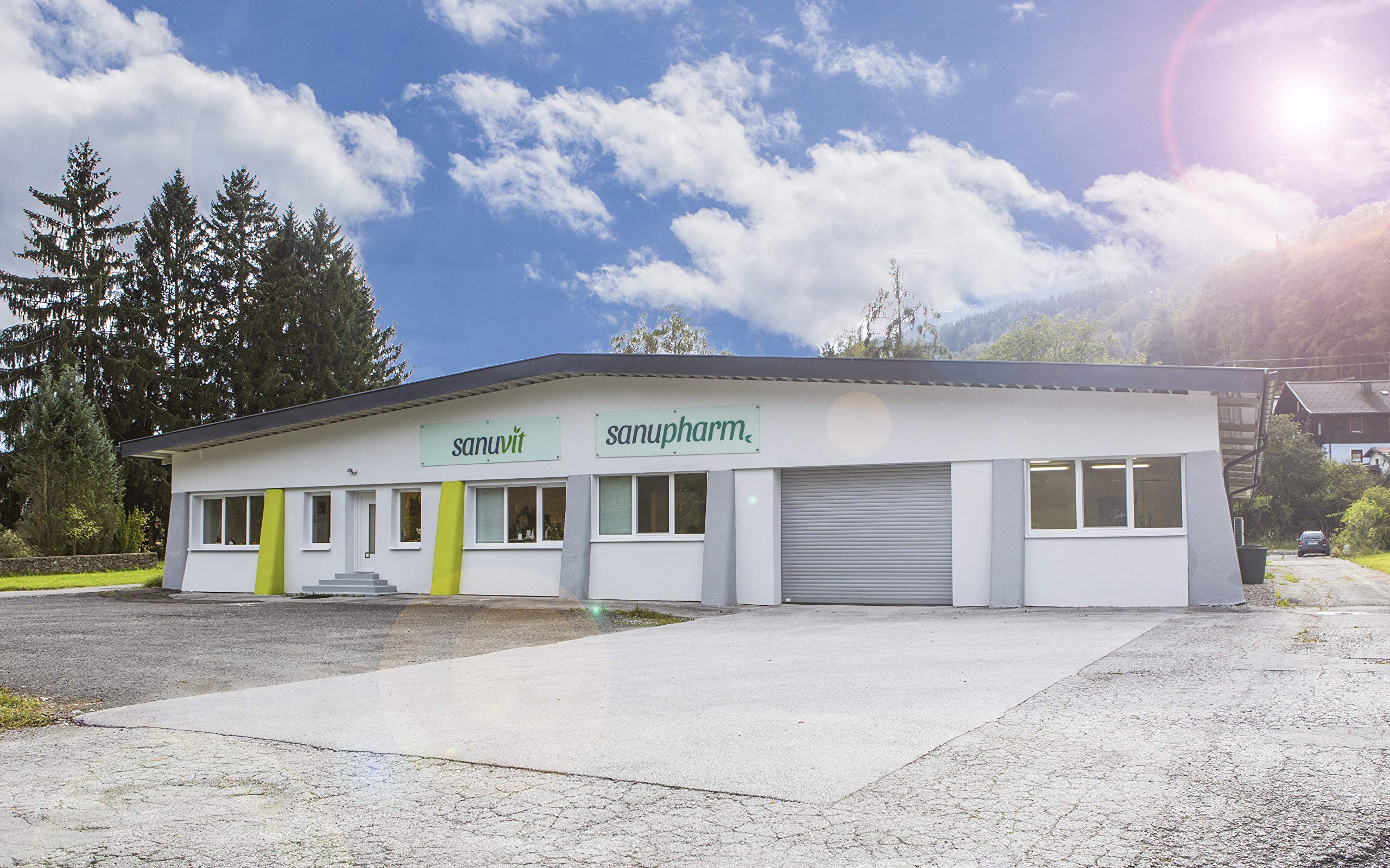 Sanuvit L-Ornithin 60 Kapseln - Reinstoffprodukt direkt vom Hersteller (hypoallergene Manufaktur)