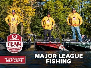 MLF Team Series
