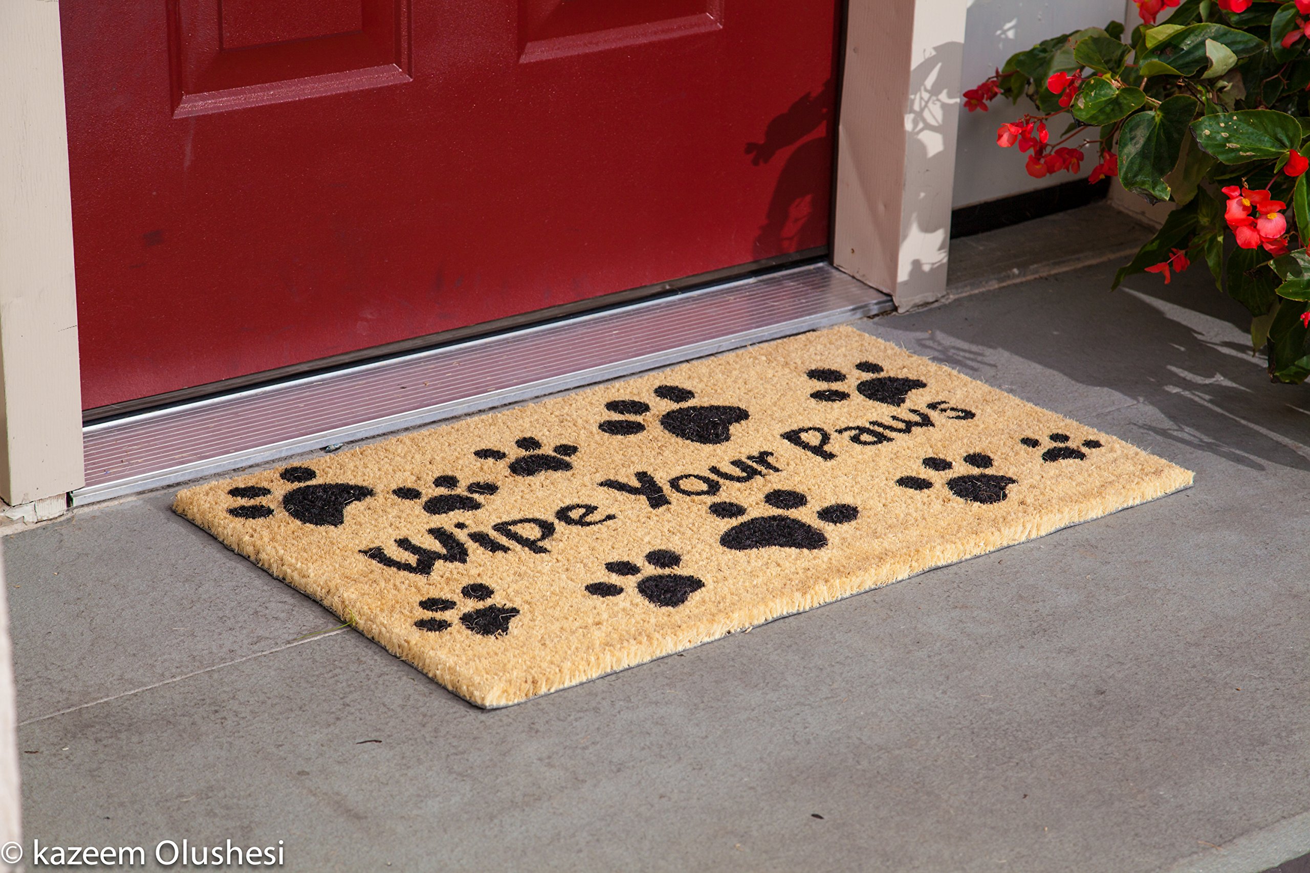 KempfWipe Your Paws Doormat 18" x 30"