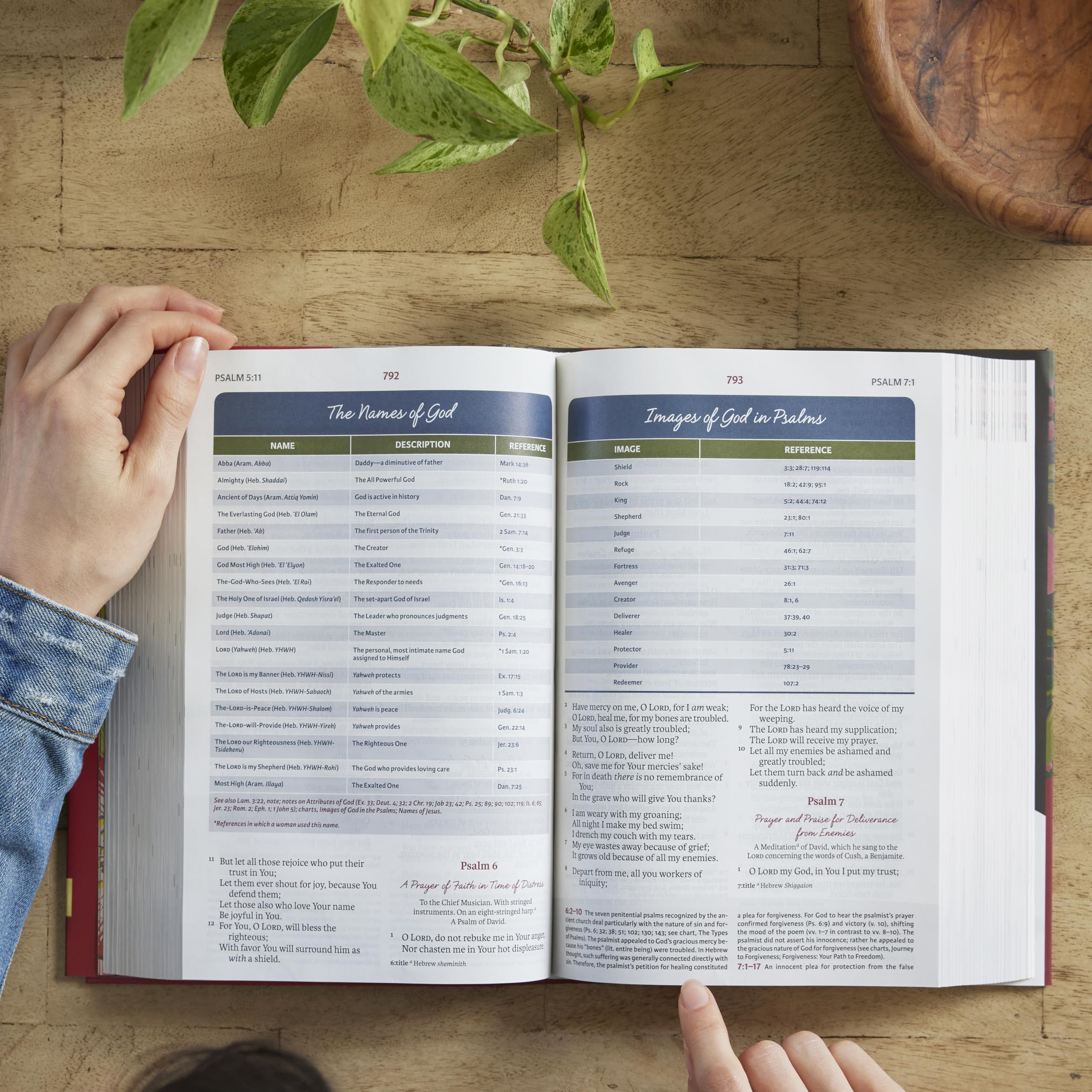 NKJV, The Woman's Study Bible, Cloth over Board, Pink Floral, Red Letter, Full-Color Edition: Receiving God's Truth for Balance, Hope, and Transformation