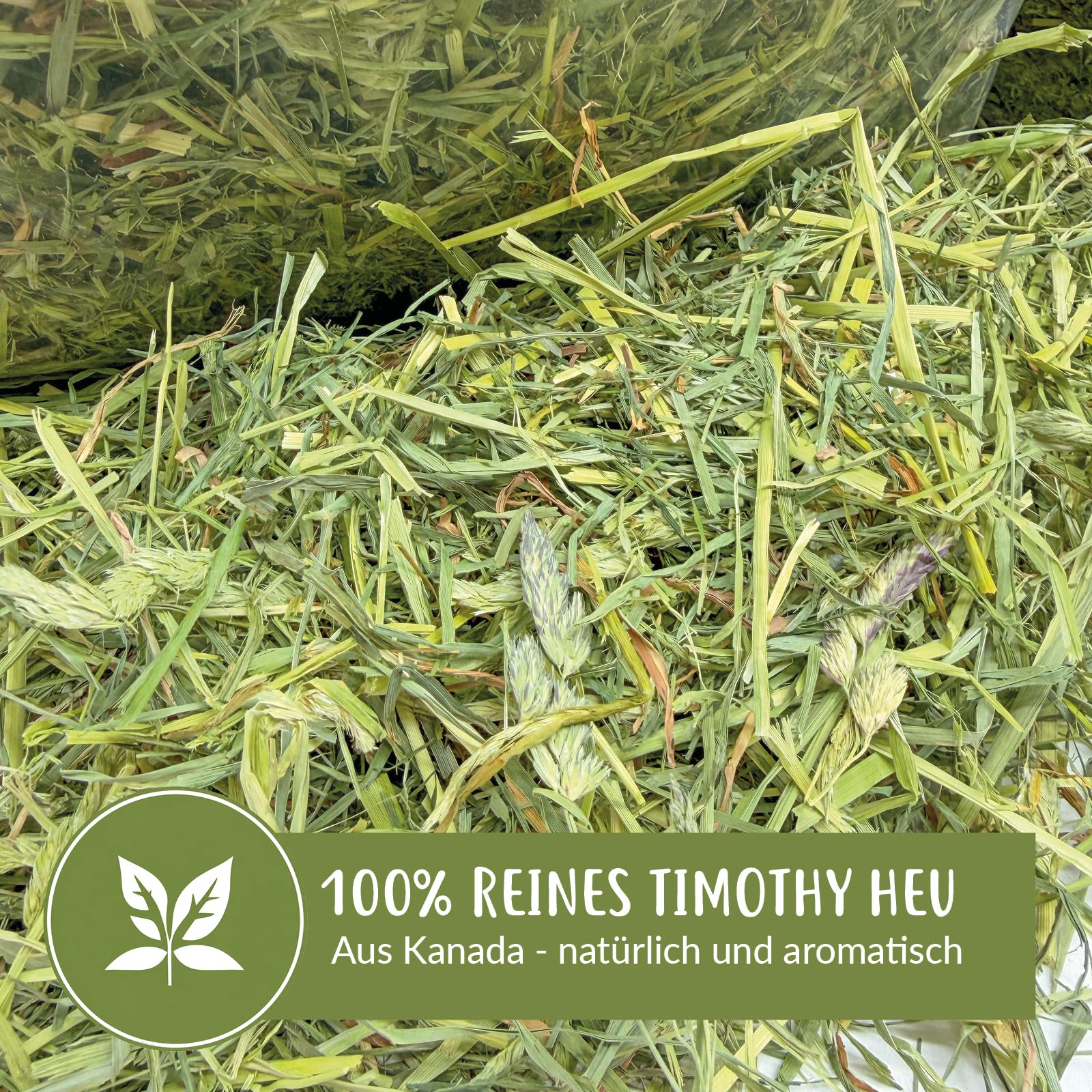 Timothy Heu 15 kg (10x 1,5 kg) – Premium Lieschgras aus Kanada – strukturreiches, staubarmes Raufutter für Kaninchen & Meerschweinchen – locker verpackt