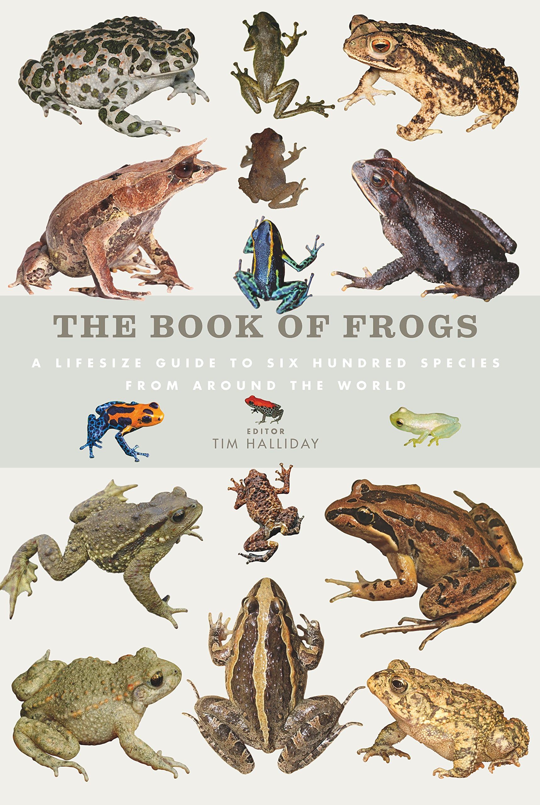 The Book of Frogs: A life-size guide to six hundred species from around the world (Book Of Series) Hardcover – 11 Jan. 2016
