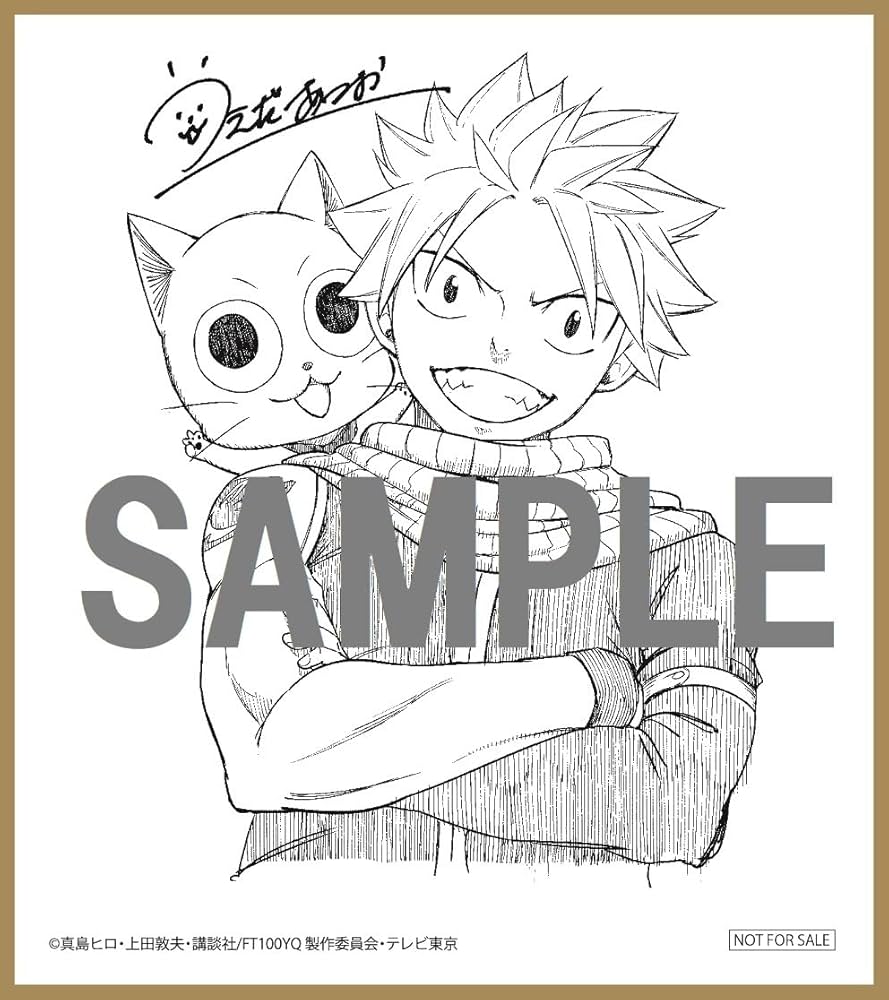 FAIRY TAIL色紙セット Amazon.co.jp: トレーディングミニ色紙 FAIRY TAIL〜ZERO初代
