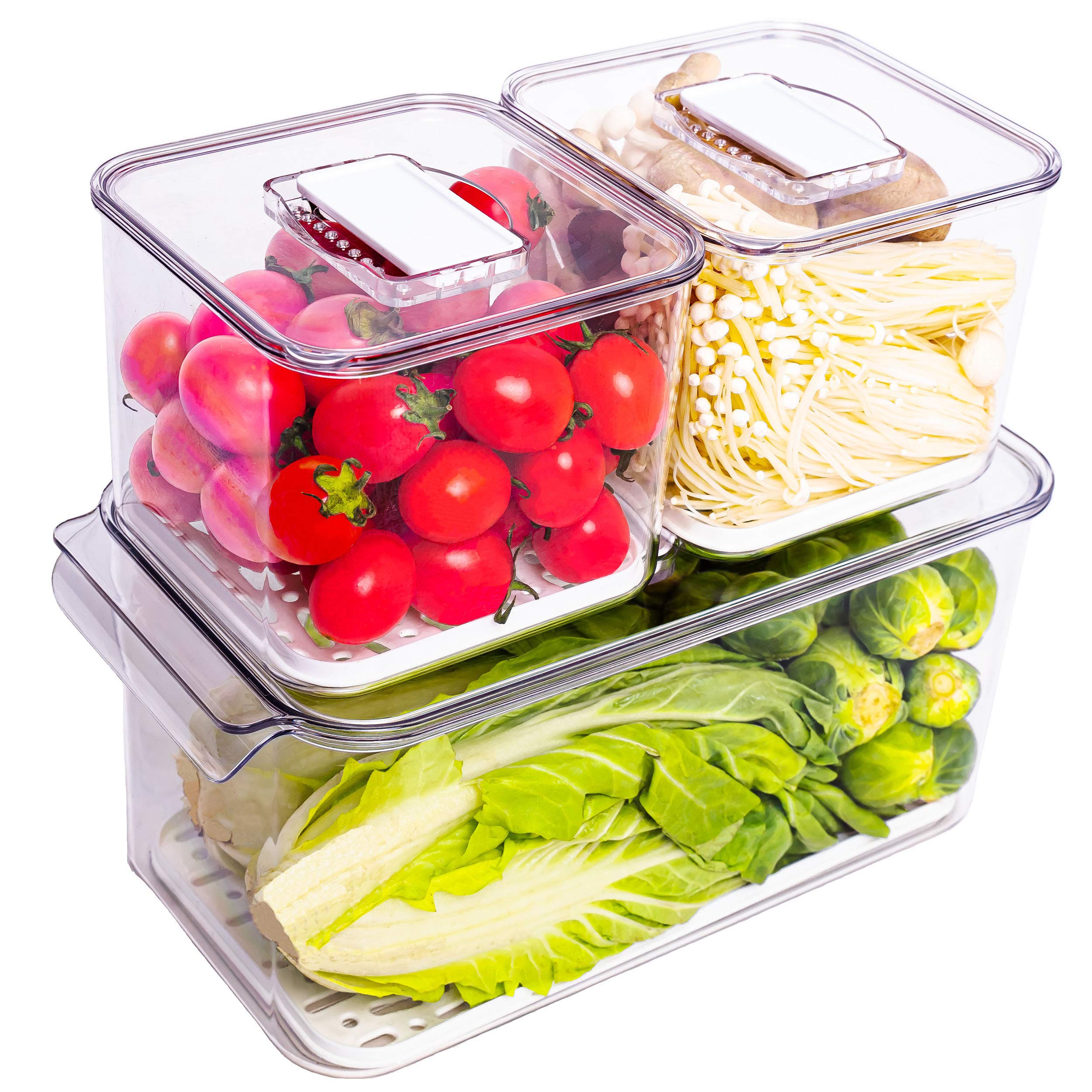 Buy WAVELUX Produce Saver Containers for Refrigerator, Food Fruit