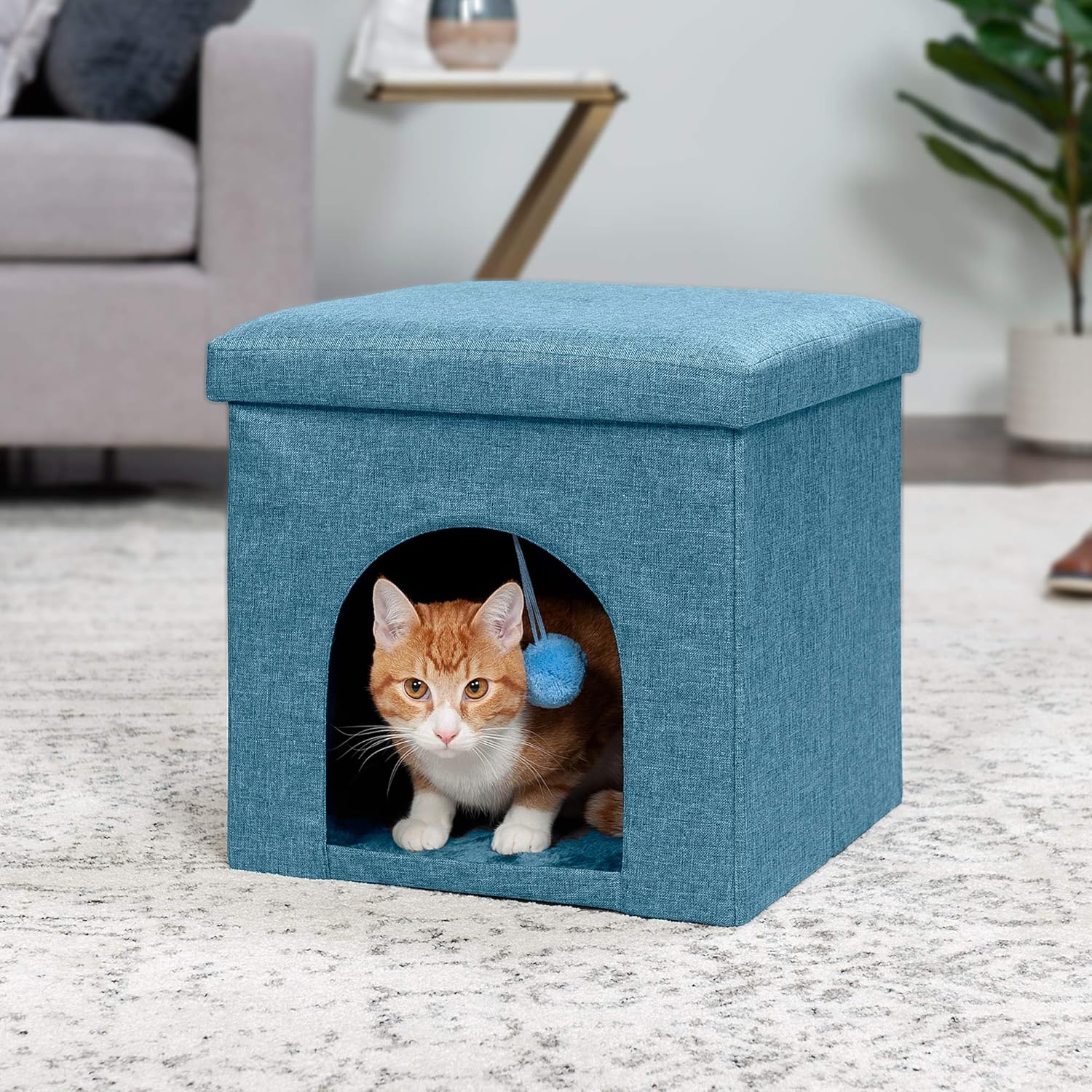 Cozy Comfort: Review of the Furhaven Foldable Pet House for Cats and Small Dogs