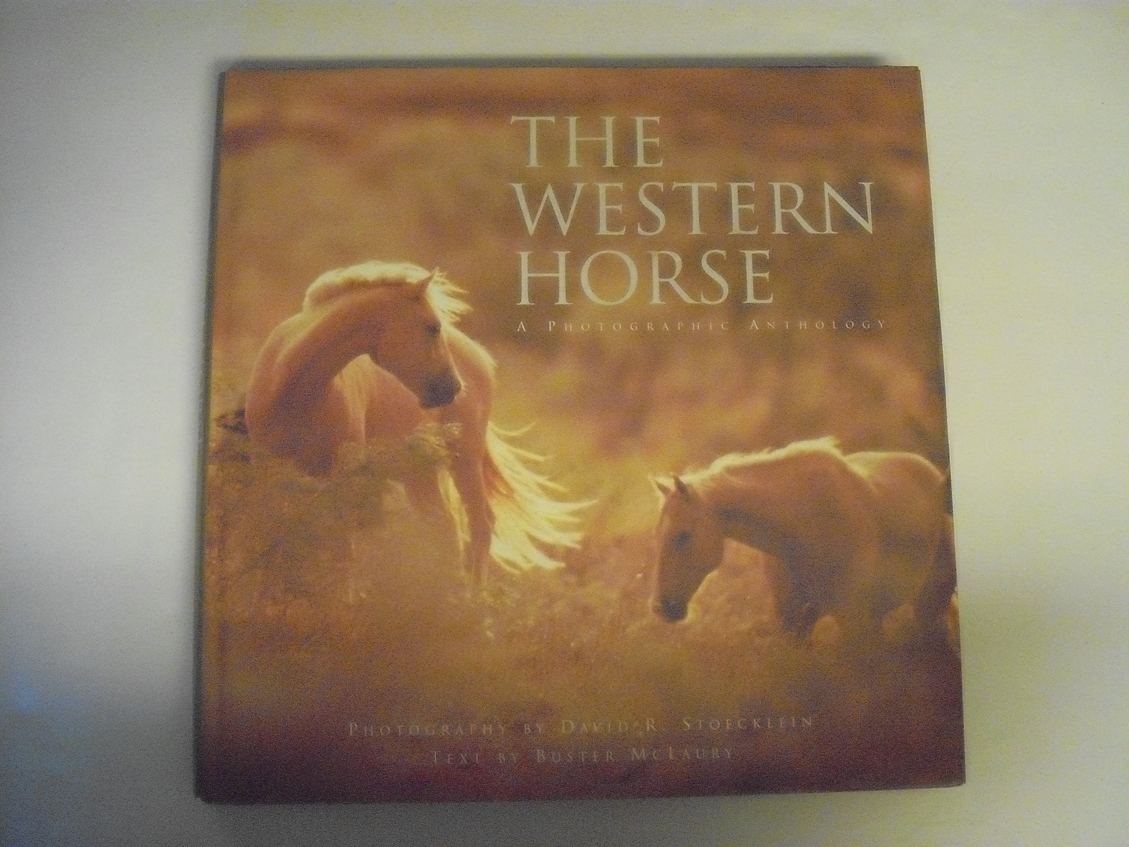 Western Horse: A Photographic Anthology