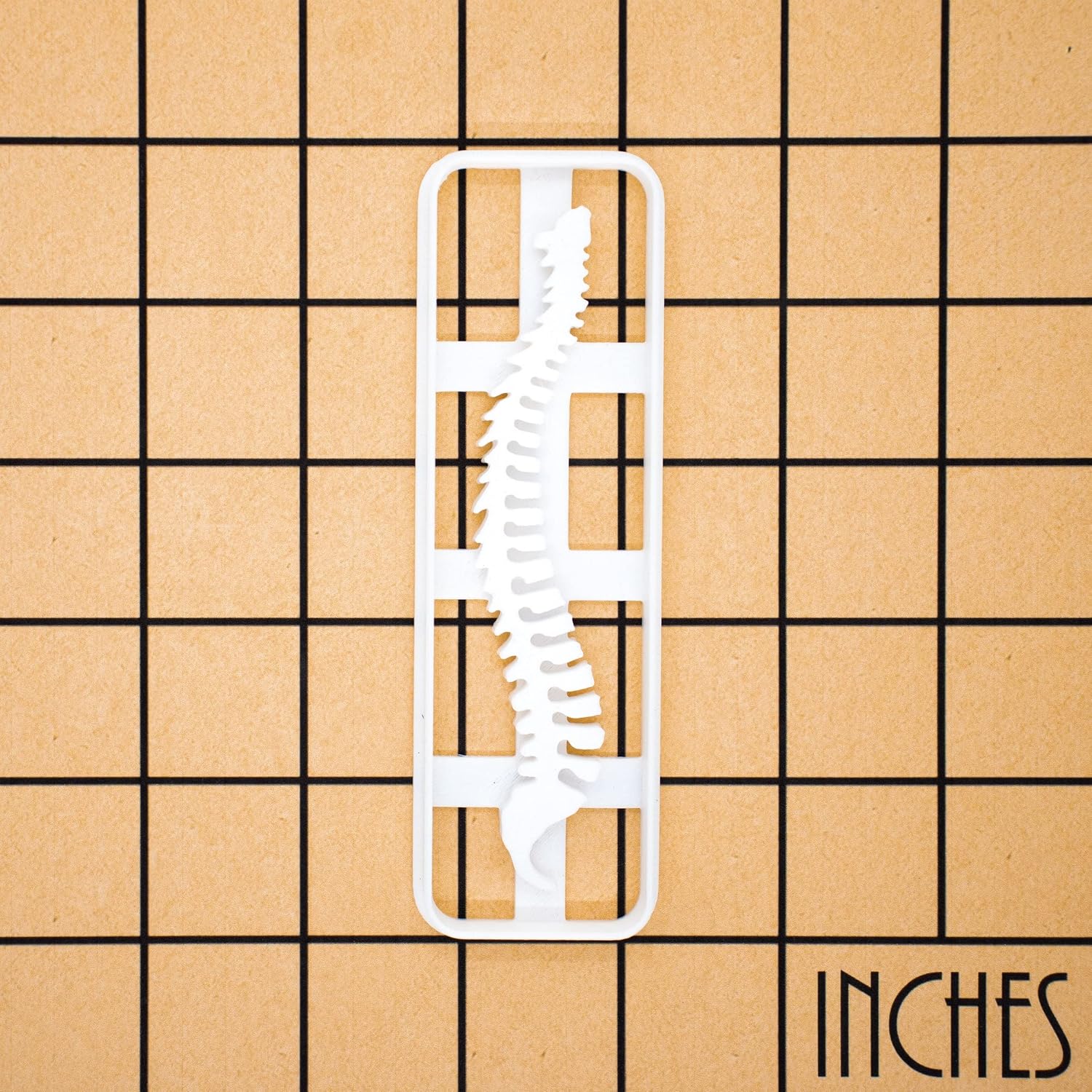 Human Spine cookie cutter, 1 piece - Bakerlogy
