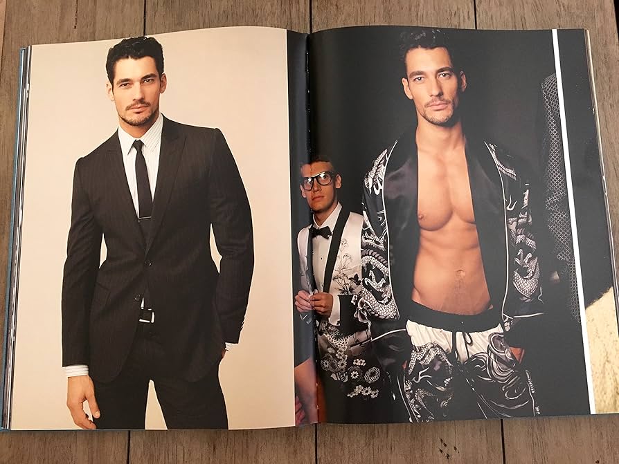 David Gandy by Dolce & Gabbana: The Male Icon : Howarth, Peter