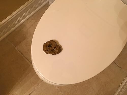 Miniatura 5 de SummitLink Juguete realista para fiesta grosera, caca falsa para perro, juguete de broma de cumpleaños, regalo novedoso, broma