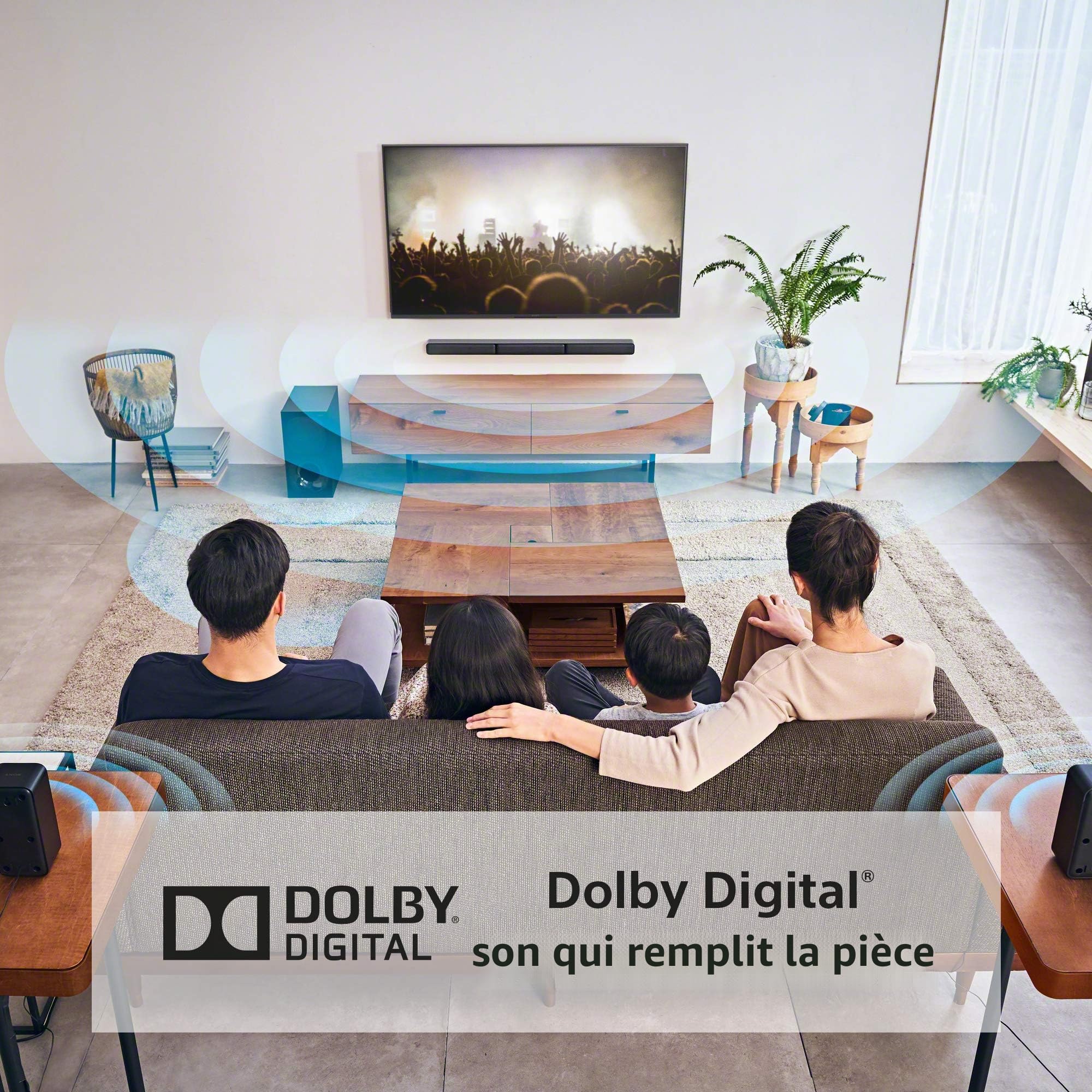 Sony HT-S40R Barre de Son 5.1 canaux 600 W pour TV avec Caisson de Basses et Haut-parleurs arrière sans Fil avec Bluetooth