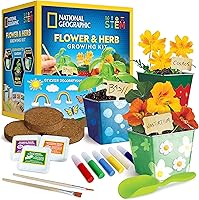 Vista 5 de NATIONAL GEOGRAPHIC Kit de artes y manualidades para niños: mosaico, pintura de mármol, arcilla seca al aire, jardinería de flores y hierbas