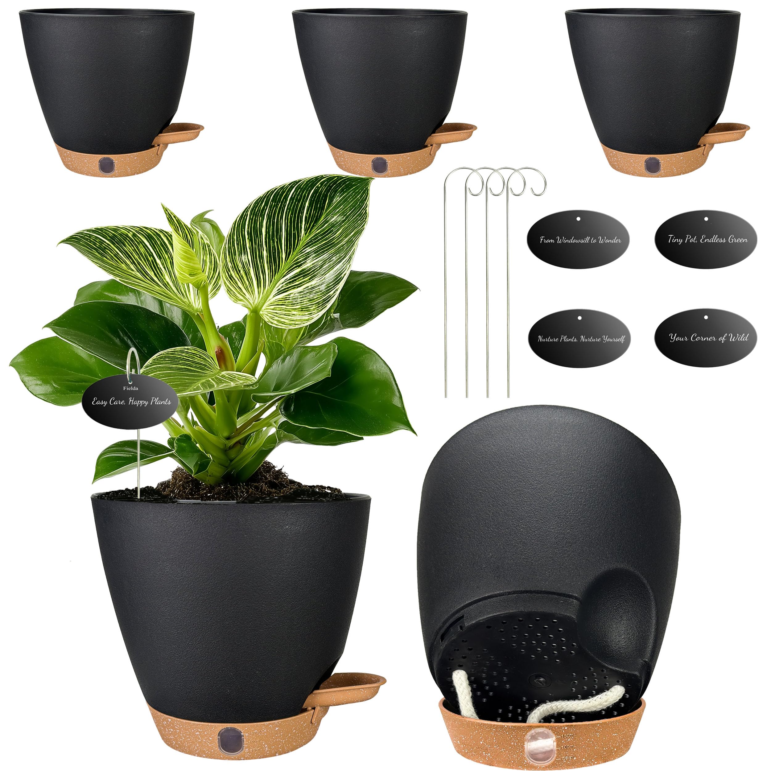 Fielda 6-Inch Self-Watering Pots 5-Pack
