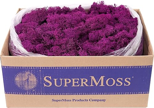 Miniatura 38 de SuperMoss (21710) Musgo de Reno Conservado, Verde Bosque, 1.36kg