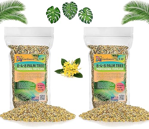 Fertilizante premium profesional 8-4-8 para palmeras alimento vegetal  Plantas en macetas de interior y palmeras de paisaje exterior  Fertilizante