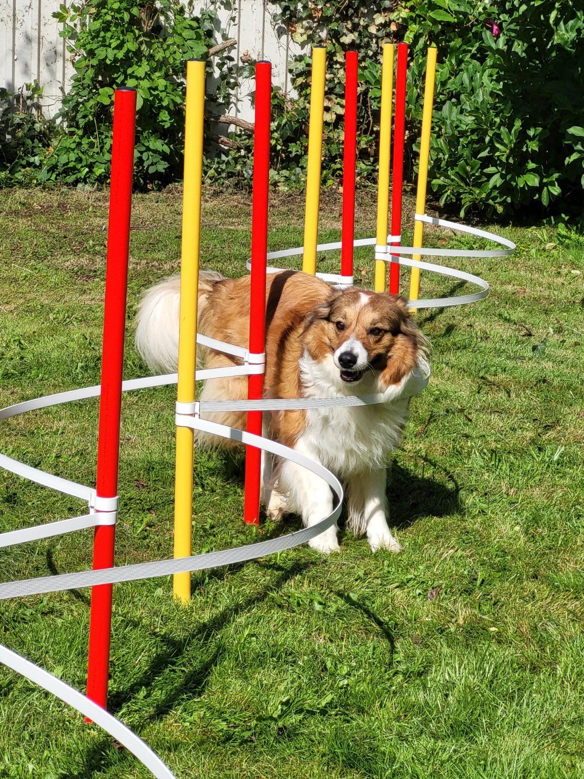 Generisch STECK-Slalom - AUSBILDUNGSSET / 10 SLALOMBÖGEN + 12 STANGEN(32mm)